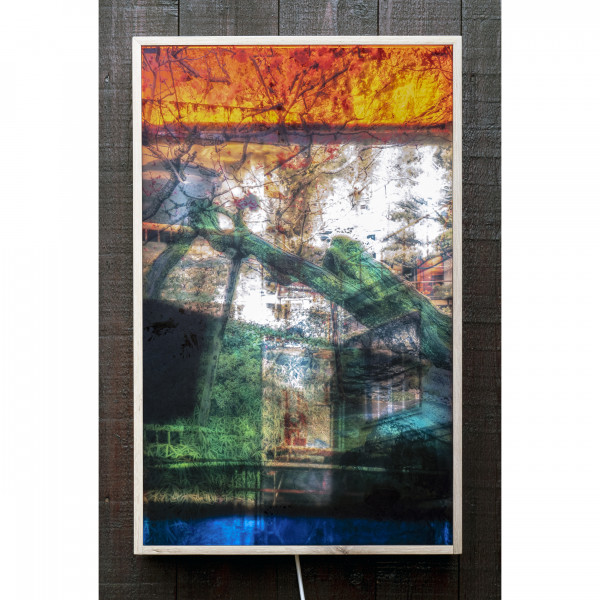 When The Leaves Don't Wave